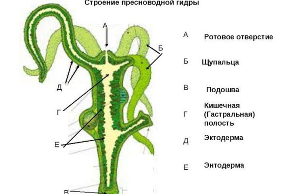 Как разбанить кракен