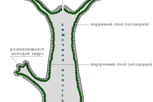 Омг онион сайт оригинал