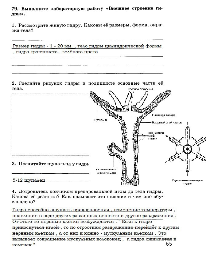 Как пополнить баланс на меге