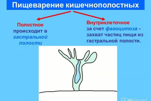 Маркетплейс кракен vk2