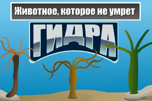 Ссылка на kraken официальный сайт через тор